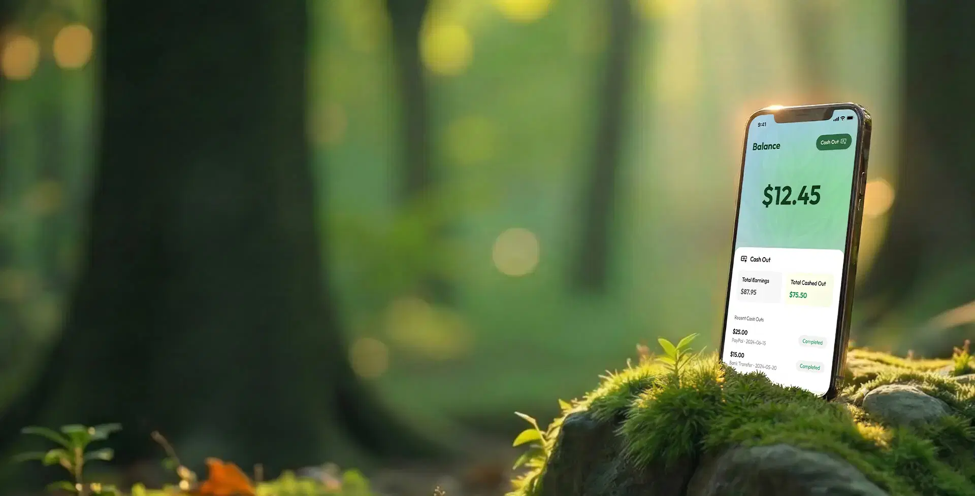 Forest background