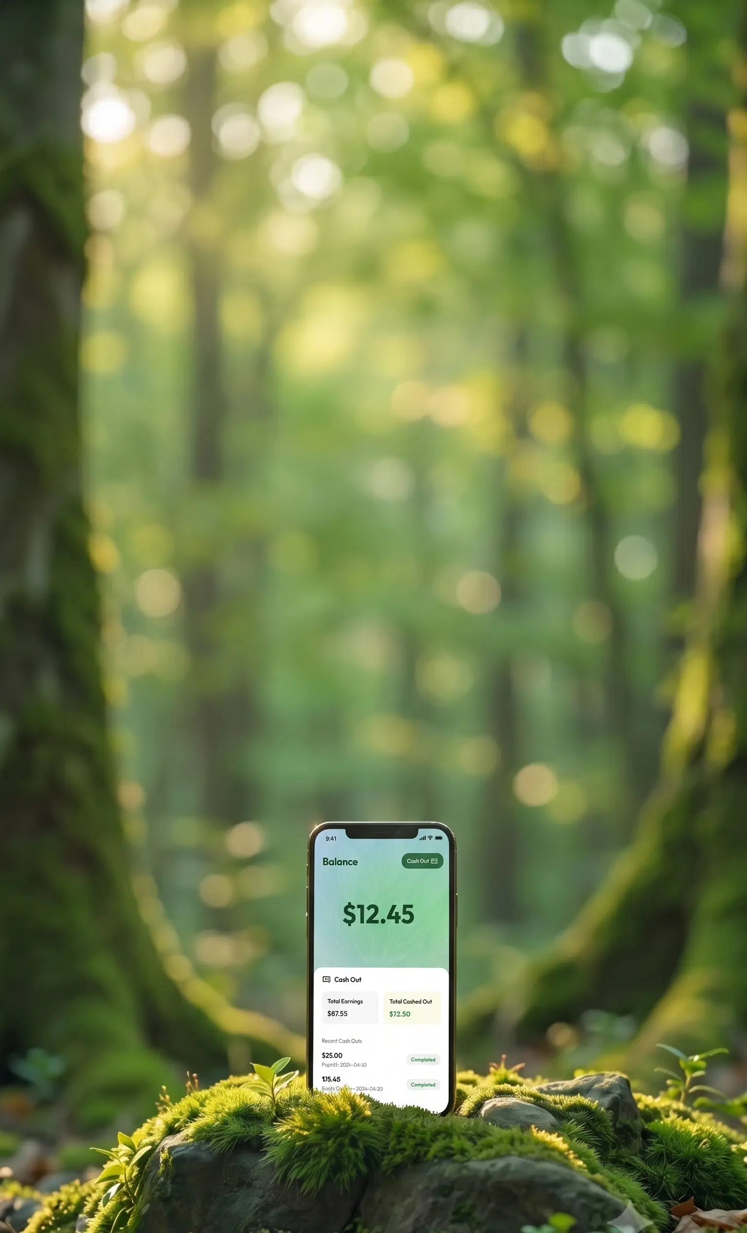 Forest background